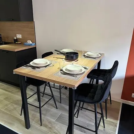 Appt De Standing Centre Tarbes